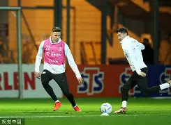 海星体育- 莱万什么水平 